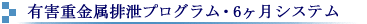 有害重金属排泄プログラム・6ヶ月システム
