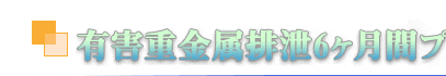 害重金属排出6ヶ月間プログラム